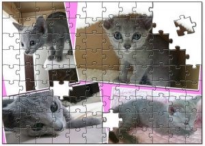 ペットの写真で想い出に残るパズルを